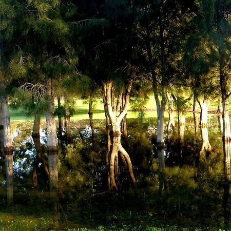 Lure Bed And Breakfast Normanville Esterno foto