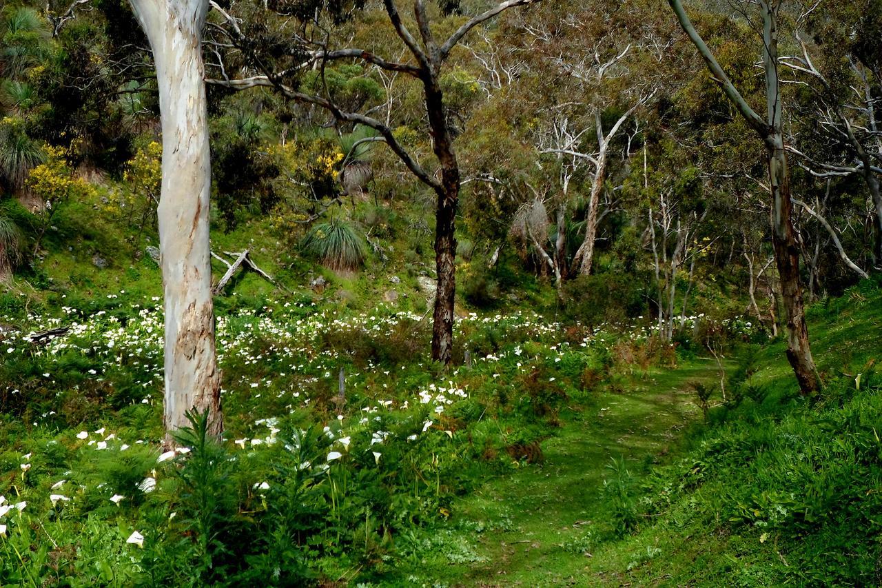 Lure Bed And Breakfast Normanville Esterno foto