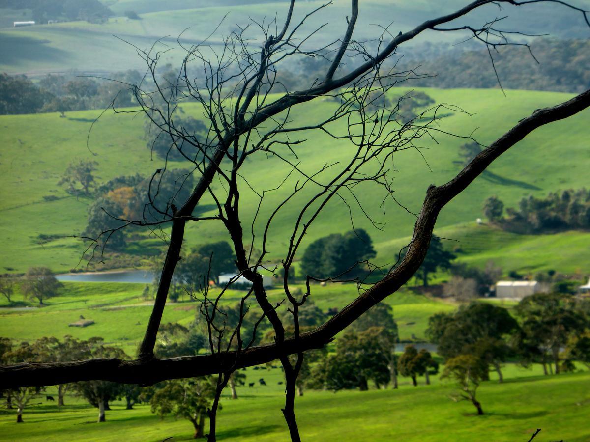 Lure Bed And Breakfast Normanville Esterno foto